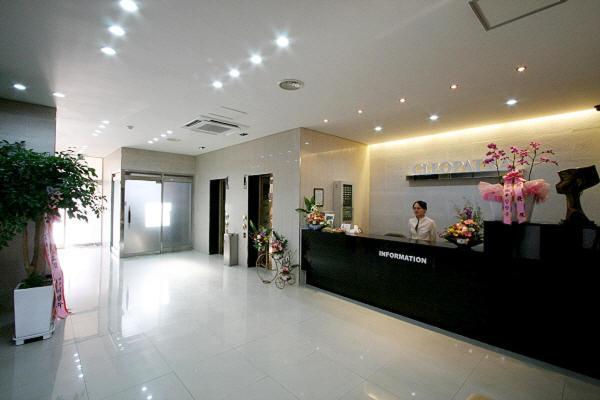 Hotel Cleopatra Ilsan Kōyō Εξωτερικό φωτογραφία